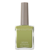 Load image into Gallery viewer, Gemini Nail Polish - Feel the Veld
